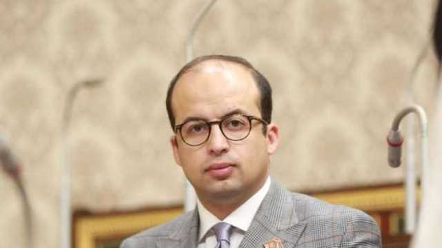 عضو بـ«النواب»: تنسيق كبير بين مصر والأردن برفض تهجير الفلسطينيين من غزة