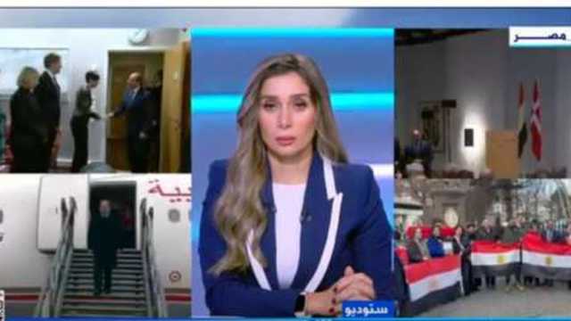 خبير في العلاقات الدولية: جولة السيسي الأوروبية تفتح مجالات تعاون جديدة