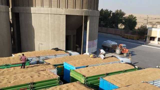 أستاذ زراعة: «توشكى الخير» مشروع قومي عملاق لإنتاج المحاصيل الاستراتيجية