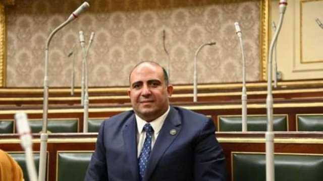 وكيل «إفريقية النواب»: استضافة مصر للقمة العربية الطارئة خطوة مهمة لدعم الاستقرار