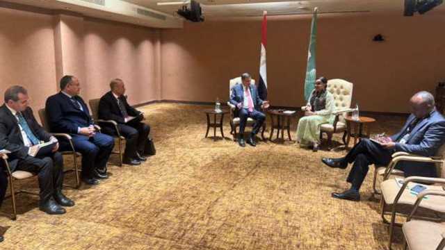 الاتحاد الإفريقي يبحث اعتماد مركز للتغيرات المناخية في مصر