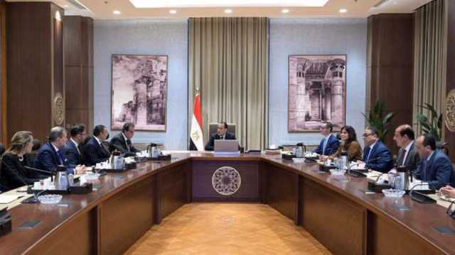 «الوزراء»: ندرس تنفيذ منظومة رقمية جديدة للدعم واستبعاد غير المستحقين