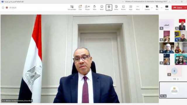 وزير الخارجية يشارك في اللقاء الافتراضي مع الجالية المصرية بفرنسا