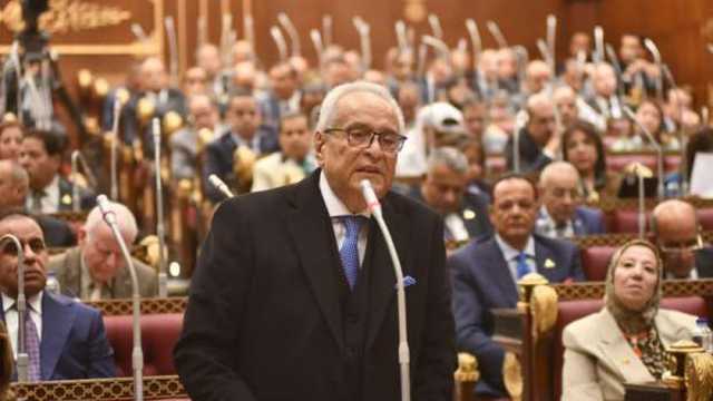 بهاء أبو شقة: مصر صوت الحكمة والعقل ولها ثقل كبير دوليا