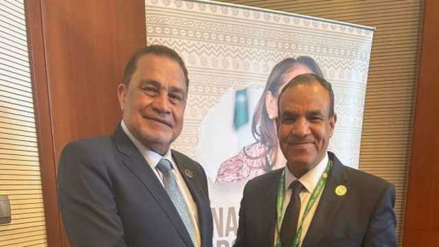 وزير الخارجية يؤكد لنظيره في سيشل رغبة مصر بزيادة التبادل التجاري بين البلدين