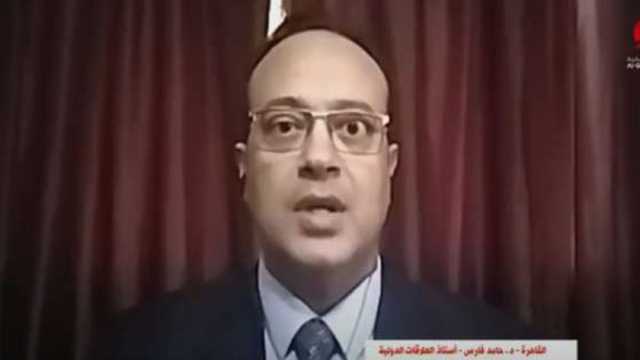أستاذ علاقات دولية: مصر تهدف إلى دعم وحدة وسيادة سوريا