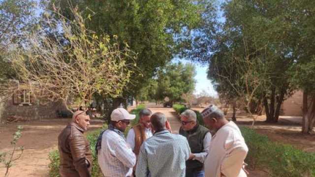 «بحوث الصحراء» يتابع التجارب الجارية في محطة توشكي لتعزيز الإنتاج المستدام