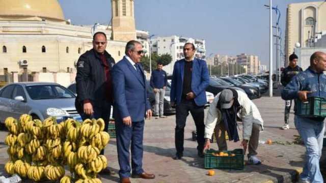 حملات مكبرة لإزالة الإشغالات والتعديات في ضواحي بورسعيد (صور)