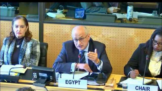 إشادة دولية لجهود مصر في حماية حقوق العمال المهاجرين وأسرهم