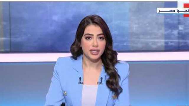 دبلوماسي سابق: مصر تتحرك في عدة مسارات لحشد دولي يرفض تهجير الفلسطينيين