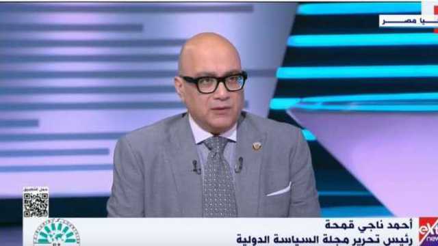 ناجي قمحة: الرئيس السيسي لم يغفل المكون الاقتصادي عند وضع استراتيجية تفاعل مصر