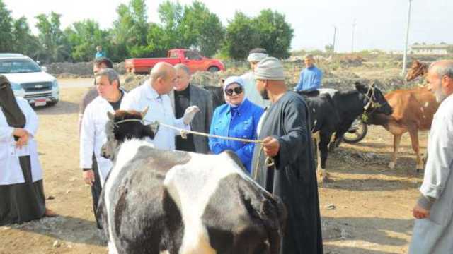 فحص 376 حالة من الماشية والطيور في قافلة مجانية بكفر الشيخ