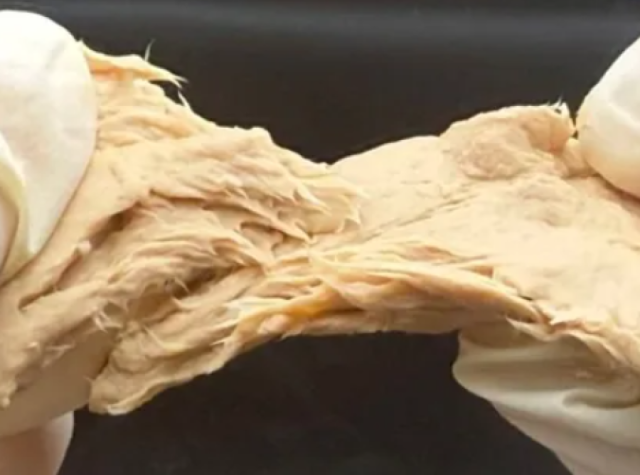 بديل اللحوم .. تعديل فطر غذائي ليصبح ألذ طعماً وأكثر بروتيناً