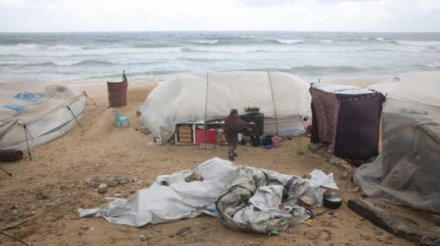 وزارة الصحة في غزة: 17 شهيدًا و3 إصابات خلال 72 ساعة