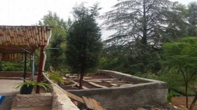 وزارة الزراعة تحول مشتل عين جِمَلا لإنتاج أشتال الزينة ضمن استراتيجية 2026