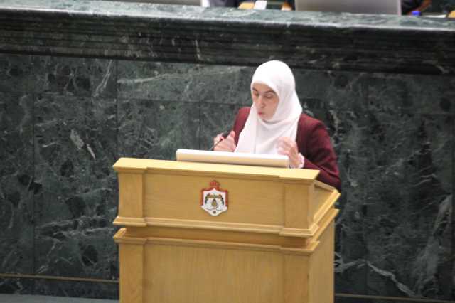 بالفيديو… طهبوب تصف موازنة 2026 بالانكماشية وتشبهها بموازنة “للألاند”