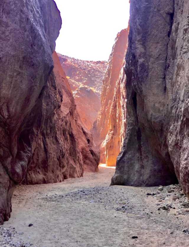 متقاعد بالبادية يضع منطقته على خارطة السياحة… ما التفاصيل؟