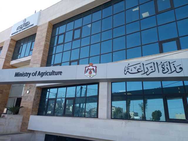 تحسن الموسم المطري يعزز الزراعة والتقنيات الرقمية تصل للمزارعين