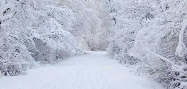 الأرصاد تحذر: أمطار قادمة وثلوج غير متوقعة هذا الأسبوع