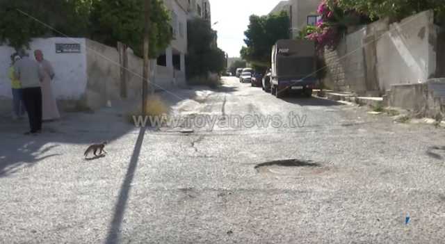 قضايا خدماتية متنوعة يعاني منها أحد شوارع منطقة البارحة في محافظة اربد
