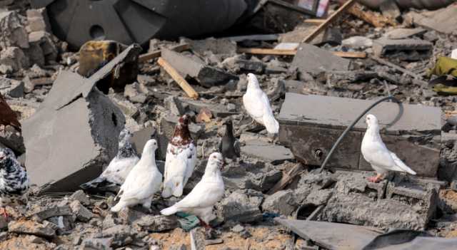 الأعيان: الاحتلال يدفع المنطقة إلى مزيد من العنف