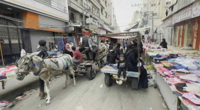 لمواجهة نقص الوقود.. عربات الجر وسيلة ينشط استخدامها في خان يونس بغزة