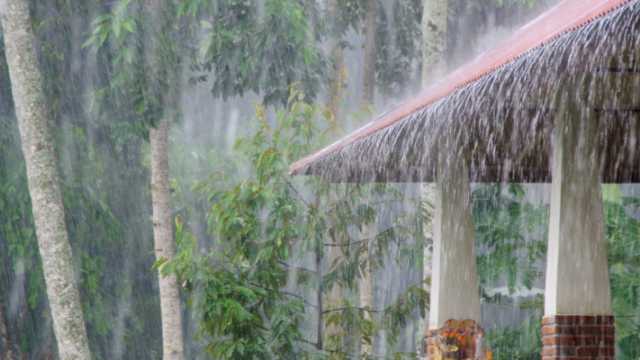 أمطار غزيرة مصحوبة بالرعد قادمة إلى الأردن خلال الساعات القادمة