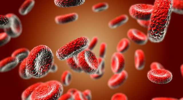 انخفاض معدل فقر الدم بين الأطفال وارتفاع ملحوظ بين النساء في الاردن