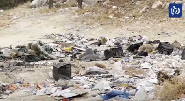 تنفيذ حملة تنظيف غابات المعراض بعد شكاوى رصدتها رؤيا