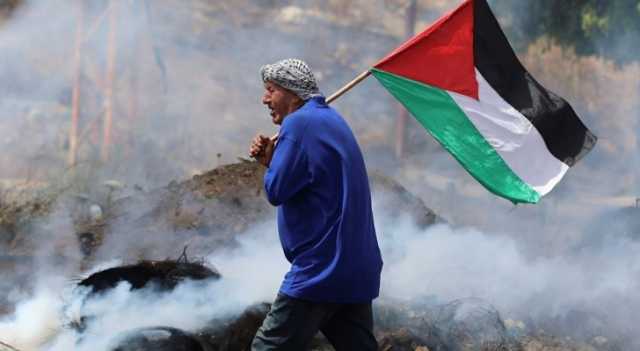 الصين: ندعم عضوية كاملة لدولة فلسطينية في الأمم المتحدة