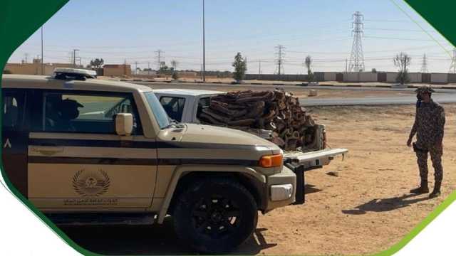 ضبط مخالف لنظام البيئة لبيعه وتخزينه ونقله حطبًا محليًا بالمدينة المنورة