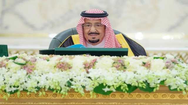 تفاصيل قرارات مجلس الوزراء