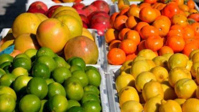 الكشف عن الفوائد الصحية الموجودة في الفواكه المُرَّة