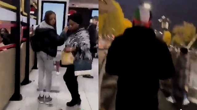 مقيم بريطاني يُطلق مجموعة من الفئران في فرع ماكدونلدز .. فيديو