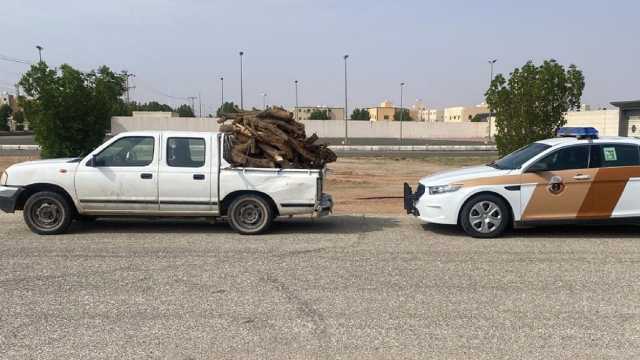 ضبط مخالفًا لنظام البيئة بالقصيم..فيديو