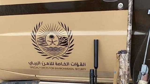 ضبط 4 مخالفين لنظام البيئة لنقلهم حطبًا محليًا بالرياض