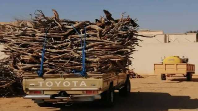 ضبط 4 مخالفين لنظام البيئة بالشرقية