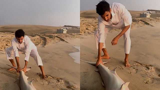 نيف السيد يعثر على سمكة قرش على أحد شواطئ المملكة .. فيديو