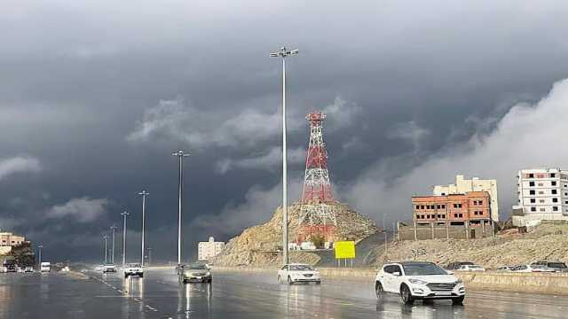 الدفاع المدني: الأمطار الرعدية بدءً من الغد.. وندعو للحذر