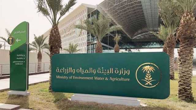 تنفيذ جولات رقابية مكثفة على أسواق ومنافذ النفع العام