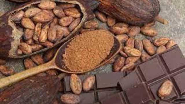 دراسة: الكاكو يحمي من التدهور المعرفي