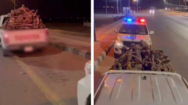 ضبط مخالفًا لنظام البيئة بحوزته حطب محلي معروض للبيع..فيديو