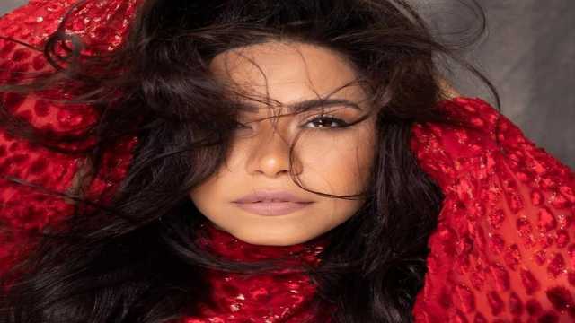 استكمال محاكمة شيرين في قضية سب منتج شهير