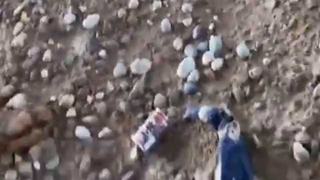 ظهور عدد كبير من أعمال السحر في نهر دجلة بعد انخفاض منسوب المياه..فيديو