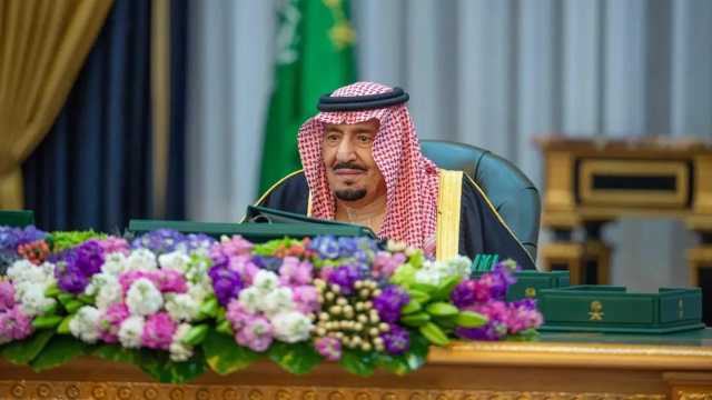 تفاصيل قرارات مجلس الوزراء