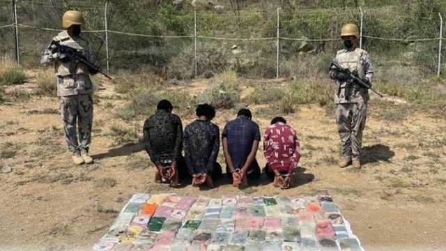 ضبط 4 مخالفين لتهريبهم 79 كيلوجرامًا من الحشيش بجازان