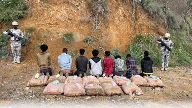 ضبط 8 مخالفين لتهريبهم 160 كيلوجرامًا من القات بجازان