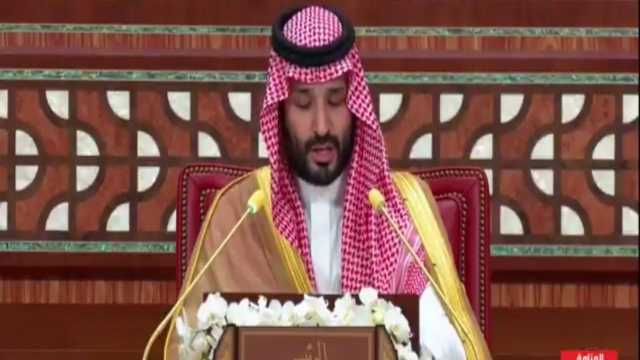 ولي العهد: المملكة أولت اهتماما بالغا بالقضايا العربية .. فيديو