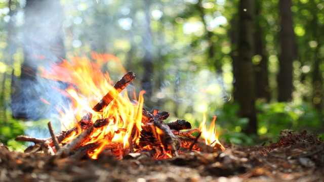 الإطاحة بمخالفين لنظام البيئة لإشعالهما النار بعسير