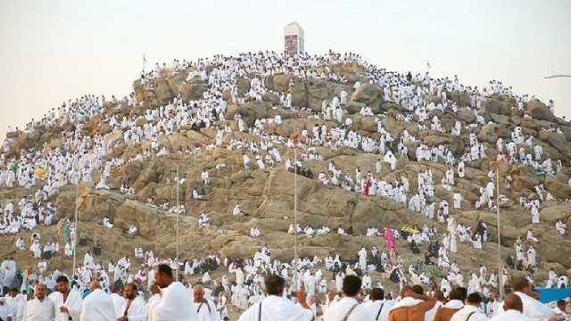 مصور ينقذ حاجة سقط من جبل الرحمة ..فيديو